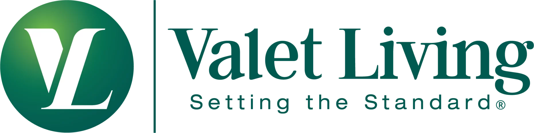 Logos & Guidelines – Valet Living